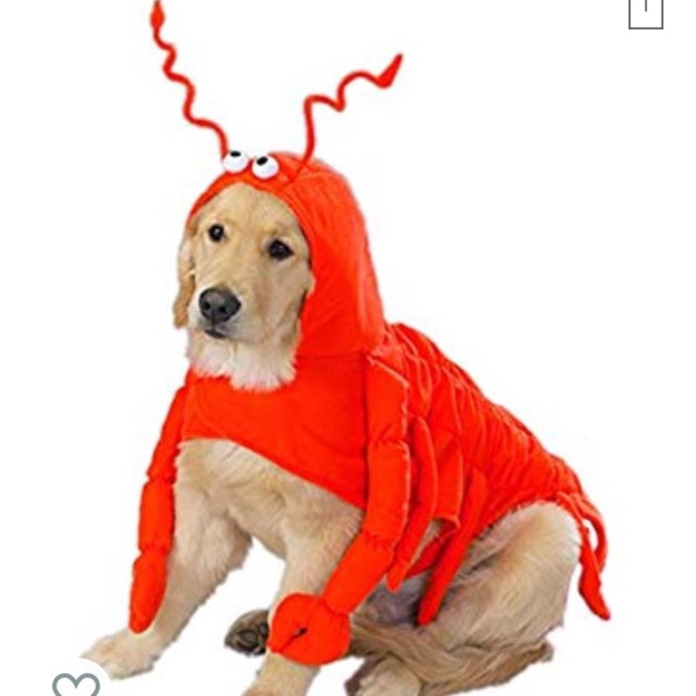 Lobster Dog Costume